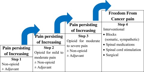 Breakthrough pain - ScienceDirect