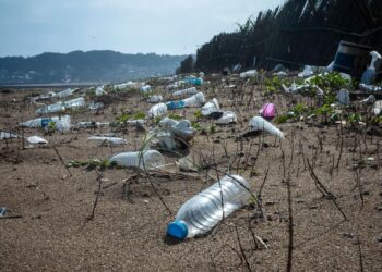 Bottled water packed with nanoplastics, study finds | CNN