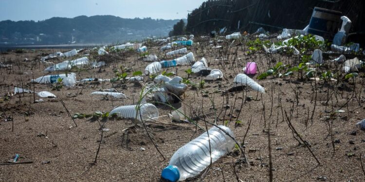 Bottled water packed with nanoplastics, study finds | CNN
