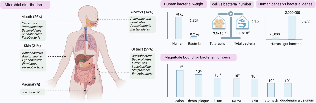A systematic framework for understanding the microbiome in human health and disease: from basic principles to clinical translation | Signal Transduction and Targeted Therapy