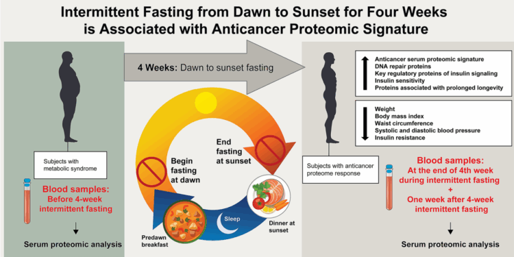Intermittent fasting from dawn to sunset for four consecutive weeks induces anticancer serum proteome response and improves metabolic syndrome | Scientific Reports