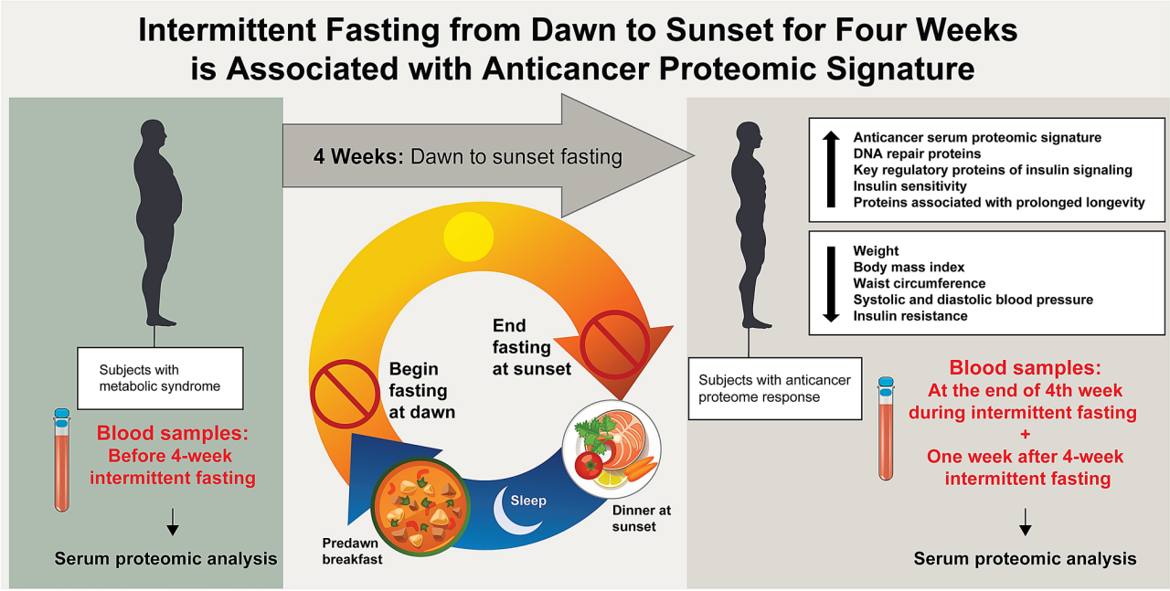 Intermittent fasting from dawn to sunset for four consecutive weeks induces anticancer serum proteome response and improves metabolic syndrome | Scientific Reports