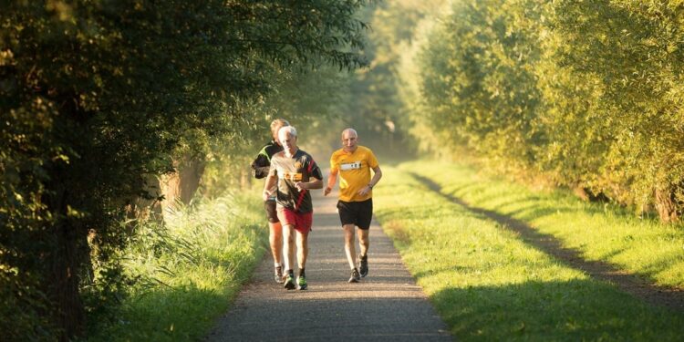 A 30-minute walk each day helps keep the doctor away | Daily Sabah