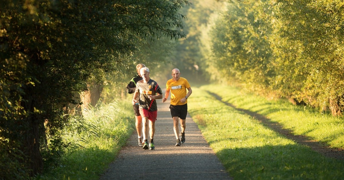 A 30-minute walk each day helps keep the doctor away | Daily Sabah