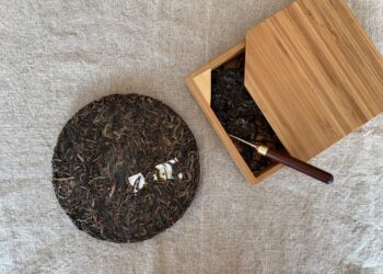 The Ultimate Guide to Aged Tea in 5 Minutes – Mansa Tea