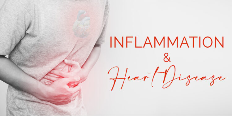 The Undeniable Link Between Inflammation and Heart Disease: Are You at Risk?  | Integrative Medicine of Arizona