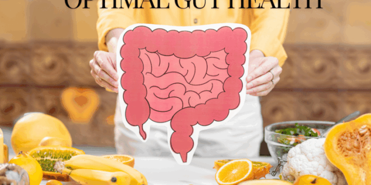 Uncover the Secrets to Optimal Gut Health - The Back Dr