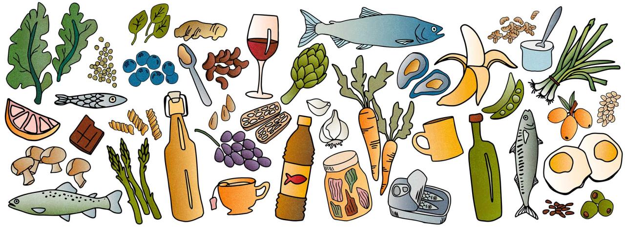 Best & Worst Foods for Gut Health – Patagonia Provisions