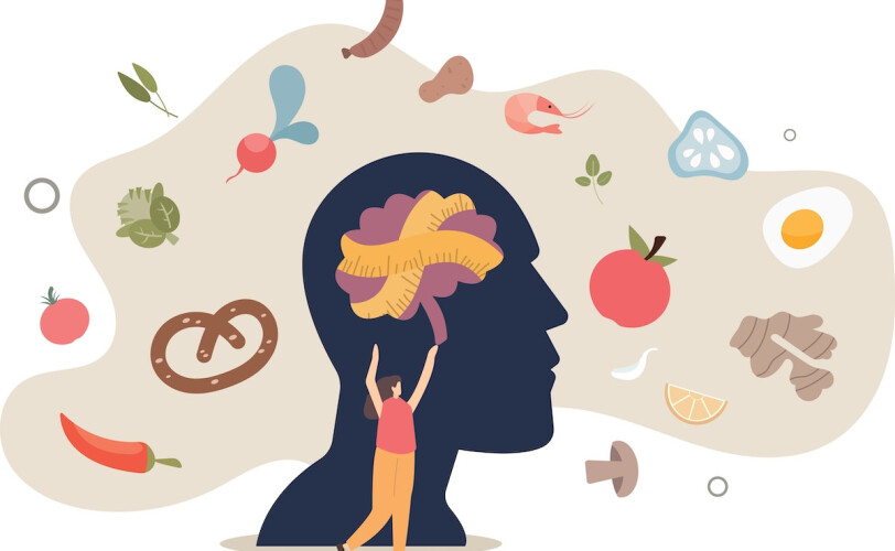 The silent threat: How ultra-processed foods harm your brain - Nutritionist Resource