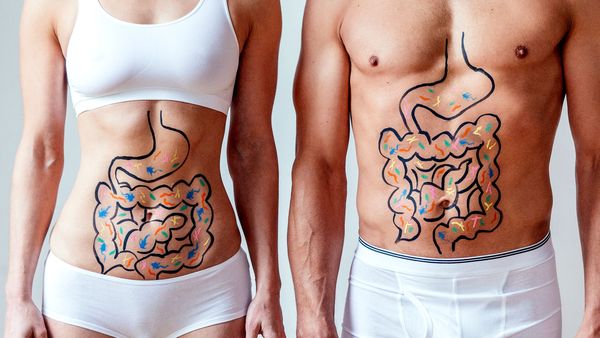 Gut bacteria: What to eat for a healthy microbiome - 9Coach