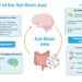 Understanding the Gut-Brain Axis - Assay Genie